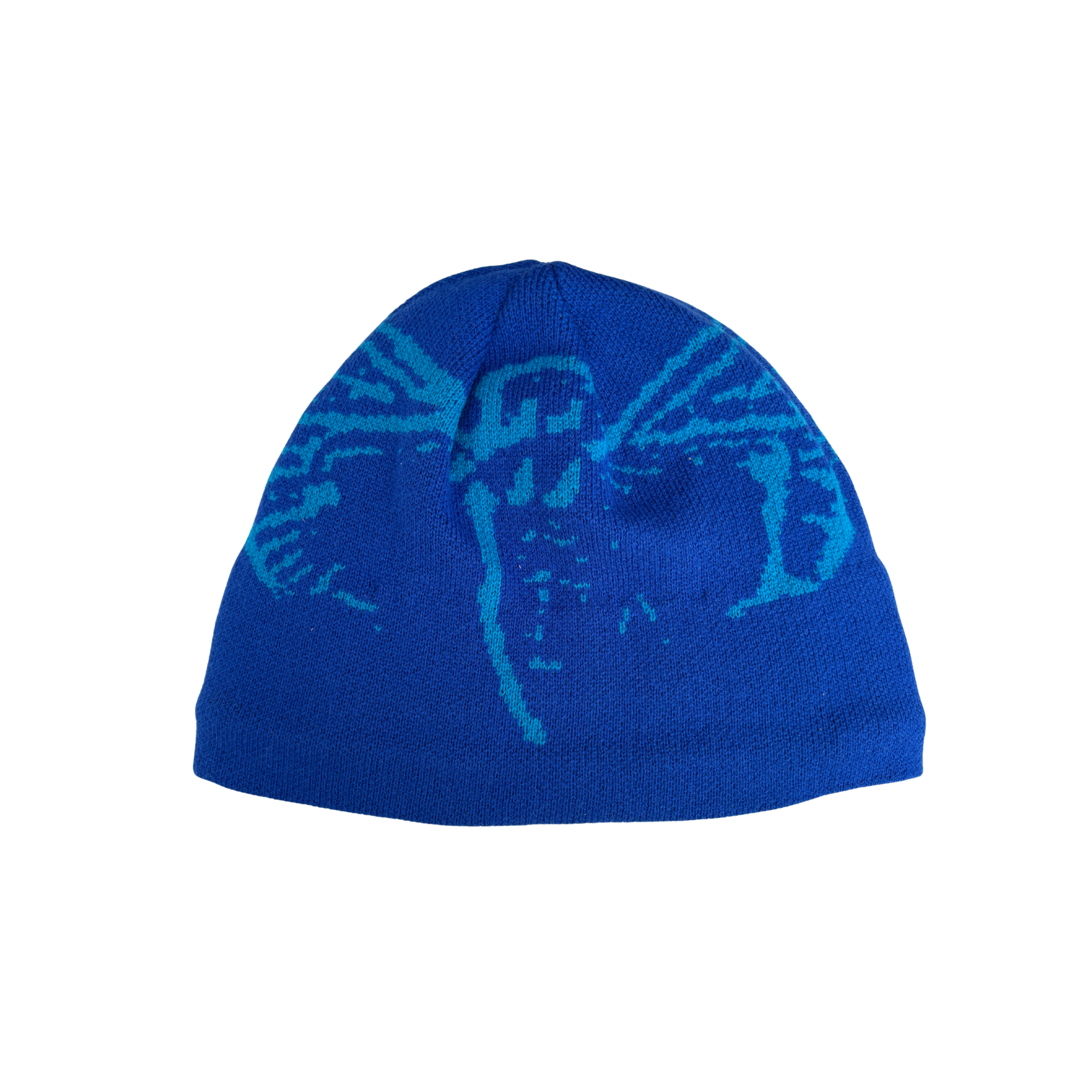 DIVENTION CICADA BEANIE BLUE